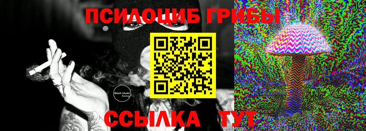 Сибай  Псилоцибиновые грибы Psilocybe  Вход с VPN 