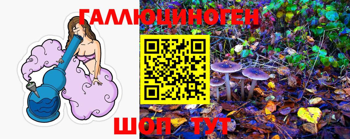 Галлюциногенные грибы MAGIC MUSHROOMS Сибай