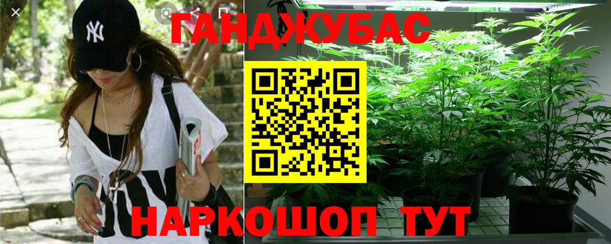 Марихуана планчик  Вход с VPN  Сибай  Бошки Шишки тримм  Конопля OG Kush 